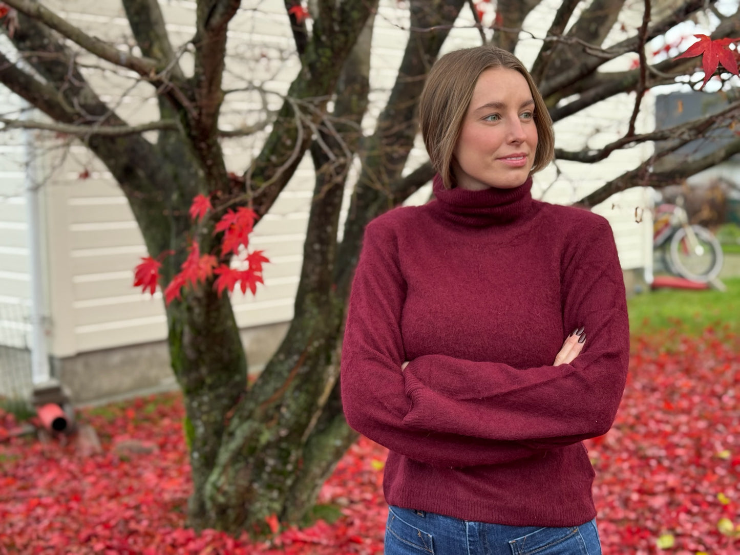 Poneh Brushed Sweater