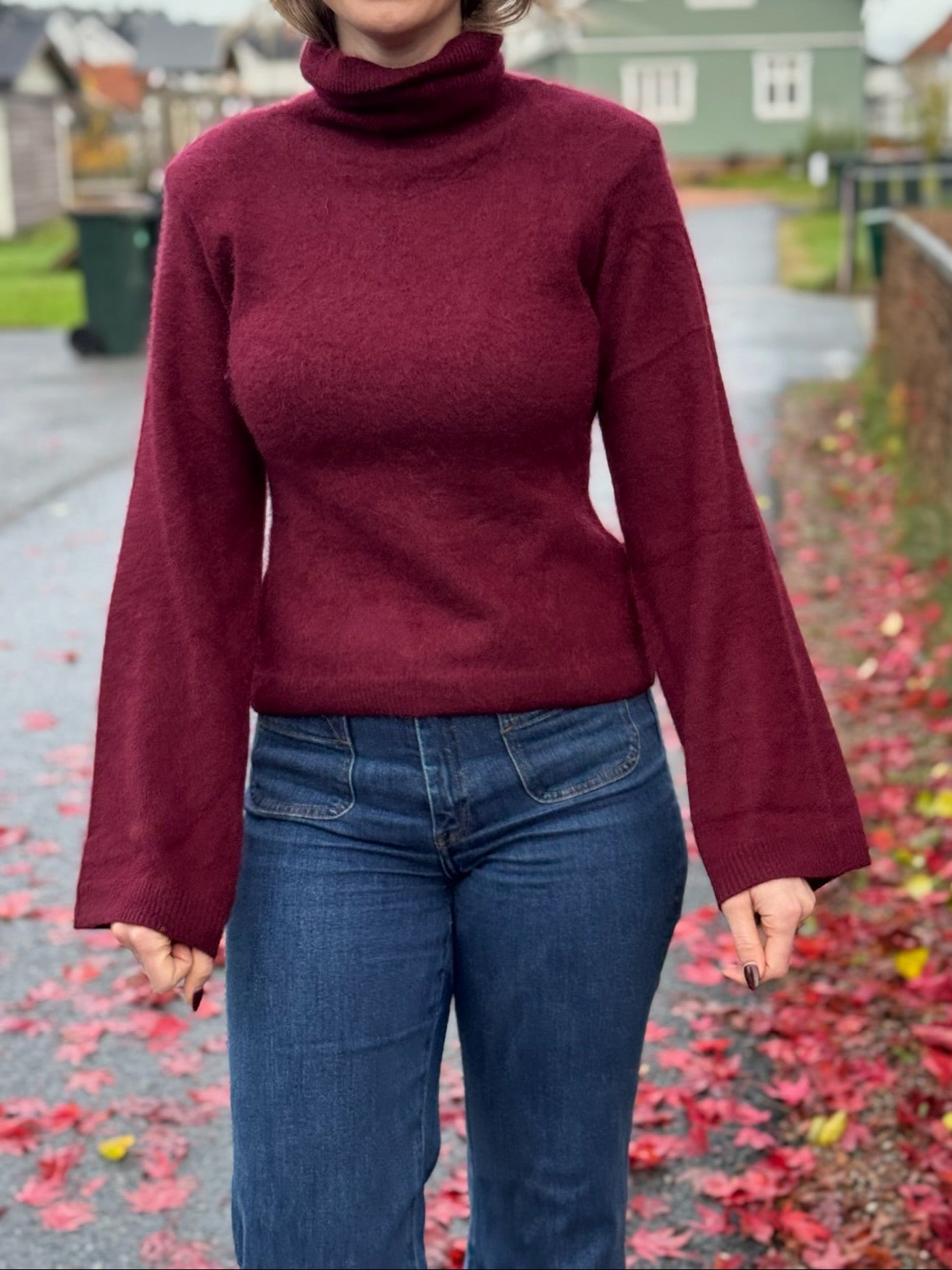 Poneh Brushed Sweater